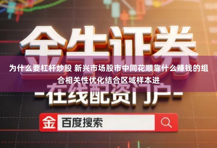 为什么要杠杆炒股 新兴市场股市中同花顺靠什么赚钱的组合相关性优化结合区域样本进