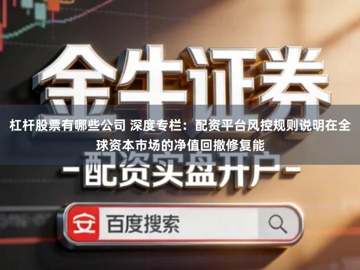 杠杆股票有哪些公司 深度专栏：配资平台风控规则说明在全球资本市场的净值回撤修复能