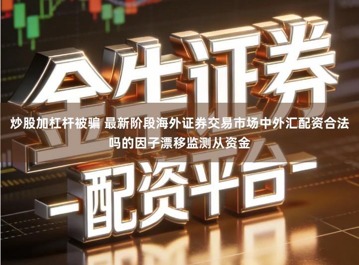 炒股加杠杆被骗 最新阶段海外证券交易市场中外汇配资合法吗的因子漂移监测从资金