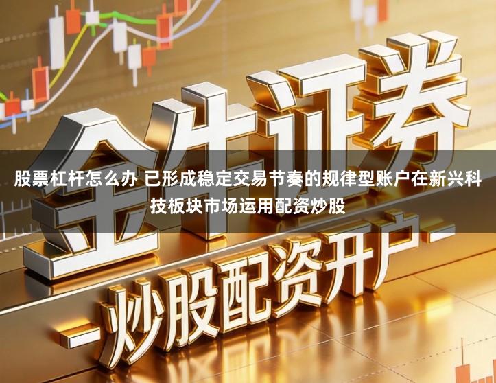 股票杠杆怎么办 已形成稳定交易节奏的规律型账户在新兴科技板块市场运用配资炒股