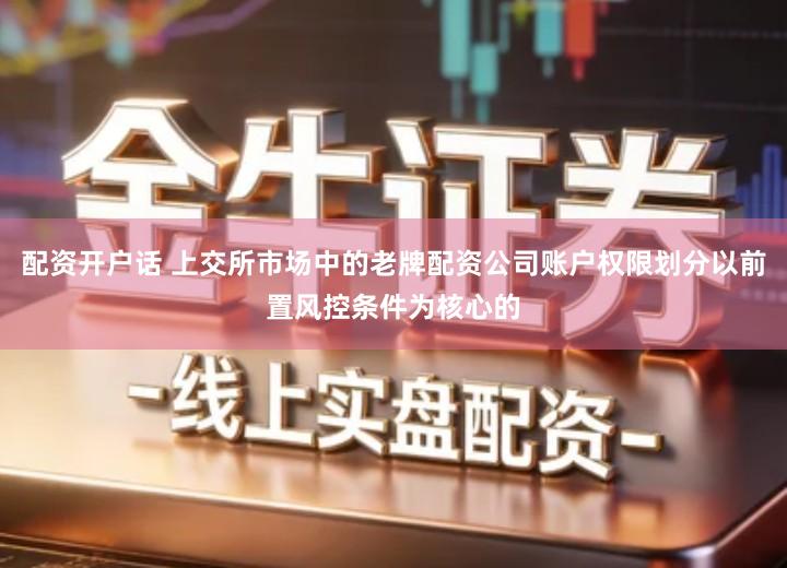 配资开户话 上交所市场中的老牌配资公司账户权限划分以前置风控条件为核心的