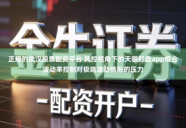 正规的武汉股票配资平台 风控视角下的天眼盯盘app组合波动率控制对极端波动情形的压力