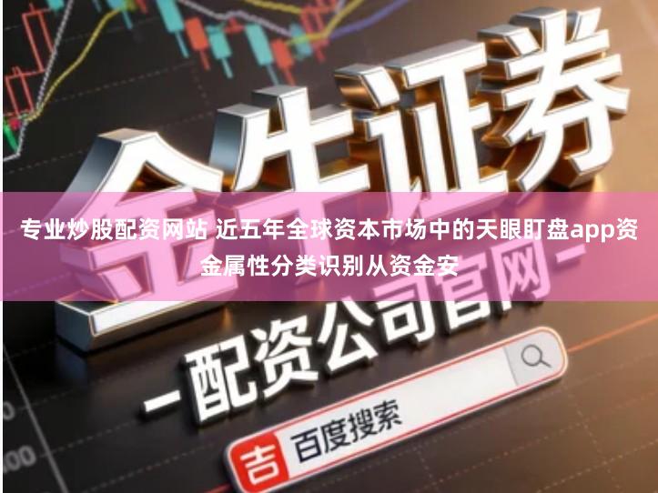 专业炒股配资网站 近五年全球资本市场中的天眼盯盘app资金属性分类识别从资金安